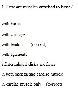 Module 7 Quiz